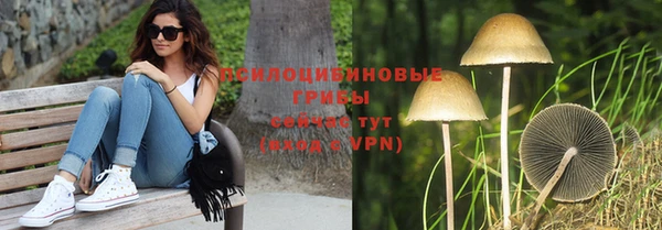 ешки Армянск