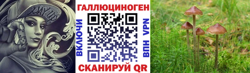 Галлюциногенные грибы MAGIC MUSHROOMS  Семёнов 
